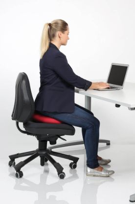 Dynair® Ballkissen® Senso® Plus — basalt