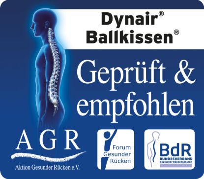 Dynair Ballkissen Senso 30 — misty-mountain