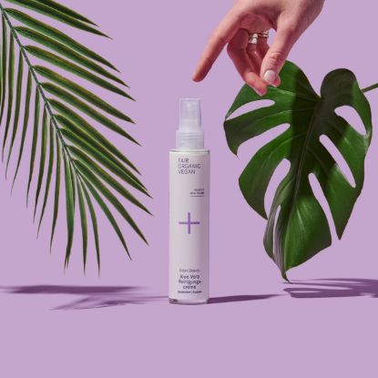 Gentle Cream Cleanser | Clean Beauty