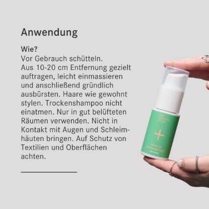 Fresh Up Dry Shampoo