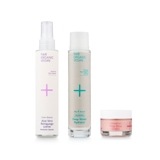 Hydra Boost Essentials for Normal Skin