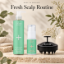 Fresh Scalp Routine