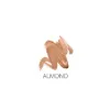 ANNEMARIE BÖRLIND NATUWEAR® FOUNDATION ALMOND