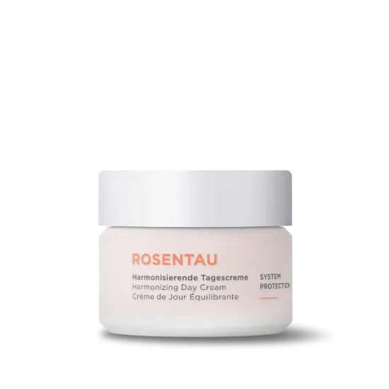 ANNEMARIE BÖRLIND Harmonizing Day Cream