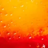ANNEMARIE BÖRLIND TWO-PHASE Beard Oil